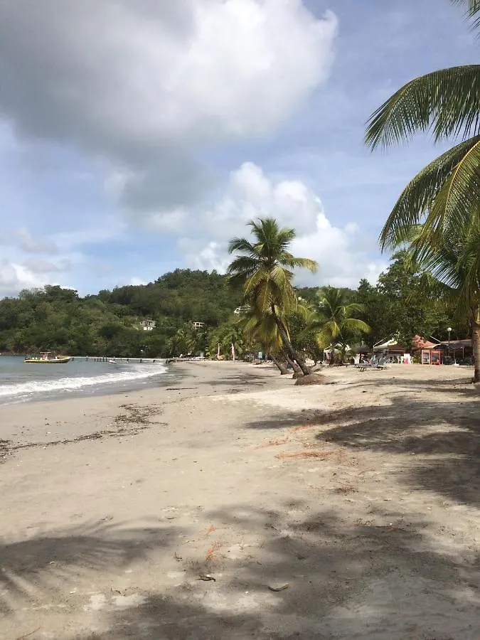 Rez De Jardin A 50 M De La Plage 레트루아질레 마르티니크